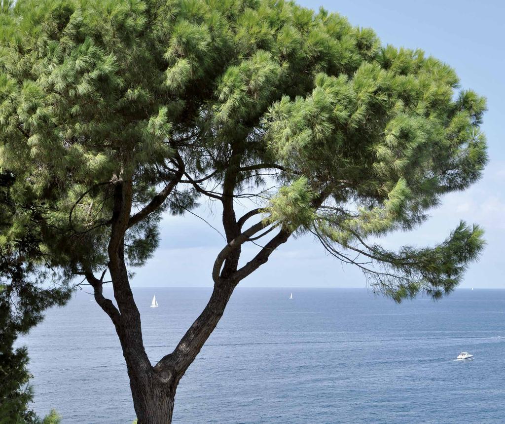 A PARADISE WHERE THE LAND MEETS THE SEA Figuière is ideally located between Toulon and Saint-Tropez, close to Lavandou and Bormes-les-Mimosas, overlooking the Porquerolles Island and halfway between