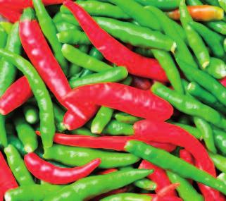 Freephone 0800 783 782 IQF Ingredients & Aromatics Ingredients & Aromatics 5061 Chillies Green chopped 4-6mm 1 x 10kg 5062 Chillies - Green -