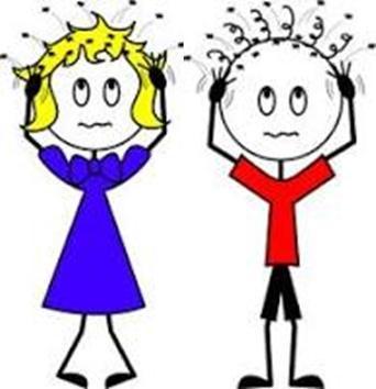 Mrs Stainer, Catering Manager Year 2 Year 1 Reception 6th November 13th November 20th November Head Lice There have been several reported cases of head lice this week.