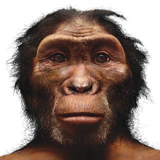 8 BYA Primitive life occurred 6 MYA Ancestor of human & monkey 2.