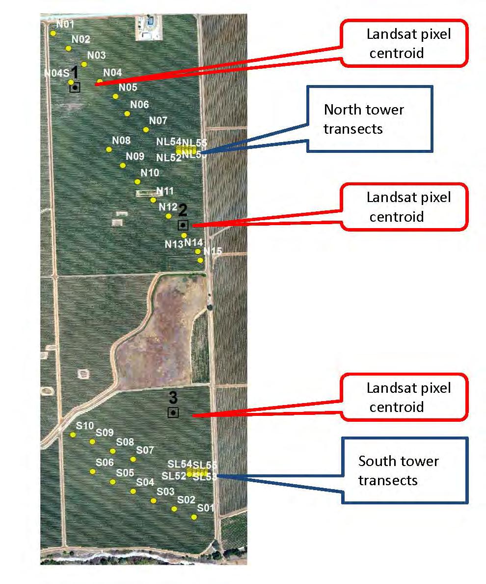 Leaf Area Index transects for GRAPEX