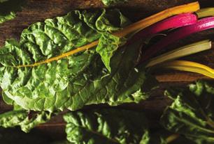 Rainbow, and Red Chard