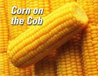 corn Selected sweet corn on the
