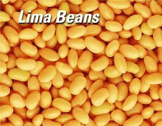 60% shelled lima beans,20% sweet corn kernel,20% squash.