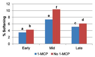 It highlighted that even fruit treated with 1-MCP at 5.5 C still experience significantly higher softening throughout storage as compared to fruit at 1 C without the use of 1-MCP. Figure 1.