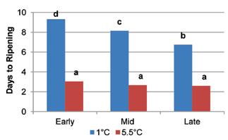 A similar effect was shown for the 1-MCP treatments (Figure 9).