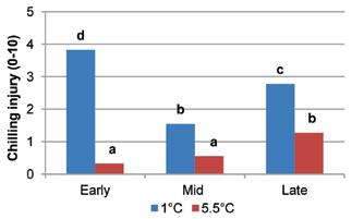 Effect of temperature and seasonal maturity variances on the days to ripening after 28 days storage.