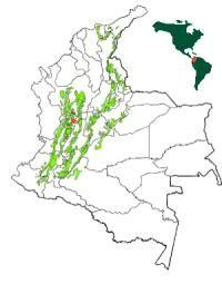 Background: Area planted is 1,141,748 sq km (440,839 sq Mi). Over 550,000 coffee growers families.