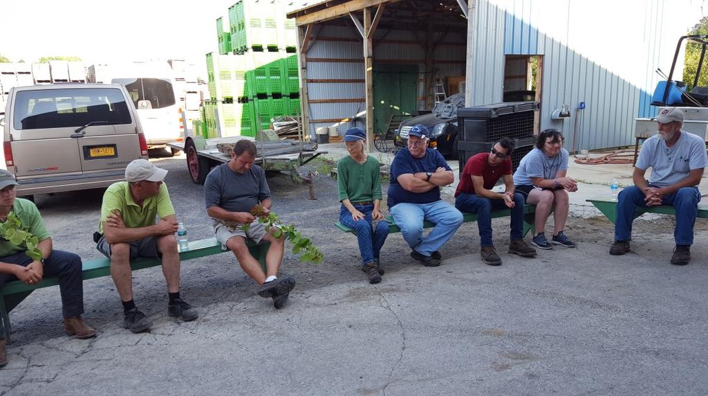 August 1 st Tailgate Meeting Recap Gillian Trimber From deer damage to downy mildew, we discussed all sorts of pests at last night s Tailgate Meeting at Belle Terre Farm in Sodus, NY.