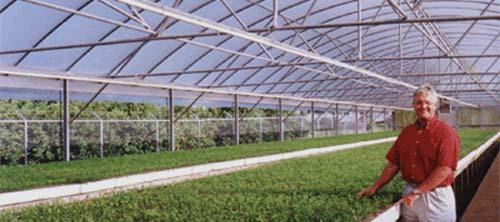 Established Rules on Nursery Stock Movement FDACS Florida Citrus Nursery Certification Program, designed to protect new citrus plantings, is well underway 46 citrus nurseries are in compliance with