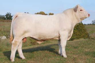 CLASS 4 Nominations 14-19 WCR SIR FIREWATER 1008 P 10/05/2010 M793922 POLLED CCR FORTUNATE SON 48P 10/05/2010 M801955 POLLED 16 17 TR MR FIRE WATER 5792RET TR MR FIREWATER 8600U M759755 BCI MISS