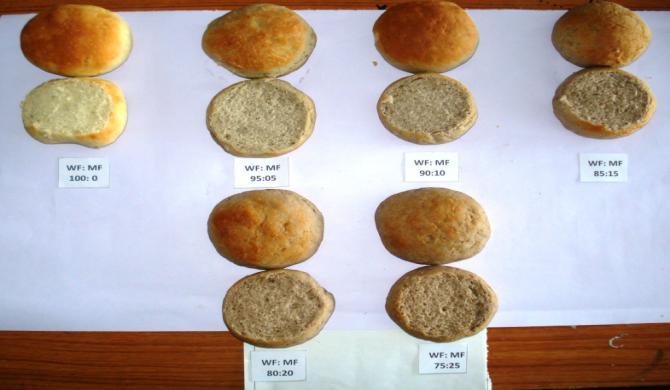 APPLICATION AND EFFECT OF ADDITION OF POPPED MAKHANA FLOUR ON THE PROPERTIES AND QUALITIES OF BUN Table 3.2 Physical properties of formulated bun Volume (cm 3 ) 206.33 c ± 3.21 227 a ± 3.60 214.