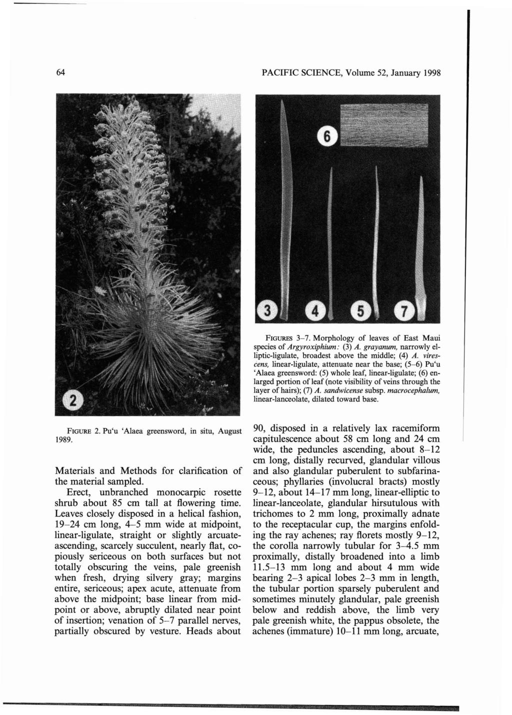 64 PACIFIC SCIENCE, Volume 52, January 1998 FIGURES 3-7. Morphology of leaves of East Maui species of Argyroxiphium: (3) A. grayanum, narrowly elliptic-ligulate, broadest above the middle; (4) A.