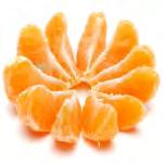 Bio-pomological features of mandarin clementine in Montenegrin conditions 43 Morphometric evaluation of fruits Morphometric measurements of fruits showed that the mandarin clementines had a slightly
