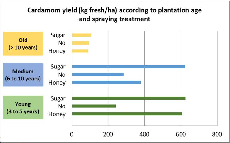 Main results (2016) «Cardamom plantation age» effect with yields of young and medium age plantation (< 10 years) > old plantation (> 10 years) Letters between brackets indicate significant