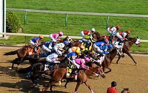May Calendar of Events KENTUCKY DERBY PARTY Saturday, May 3 rd, Noon to 7p.m.
