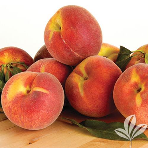 Ruston Red Peach- Reddish Freestone, consistent producer, very good with yellow flesh.