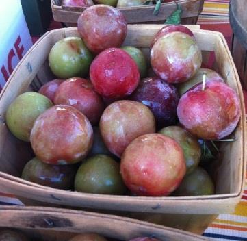These plums have great flavor and high sugar content. Increasingly popular, an excellent variety. Cross pollination is advisable.