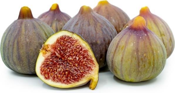 FIGS Celeste Fig- The Celeste fig is small, brown to purple colored, and adapted to all areas of Texas. Celeste is the most cold hardy of all Texas fig varieties.