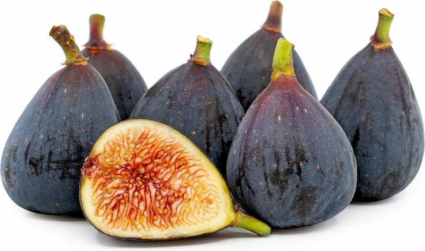 Black Mission Fig- The Black Mission Fig Tree is one of the most popular figs. These fig trees produce a medium to large, pear shaped, purplishblack fig.