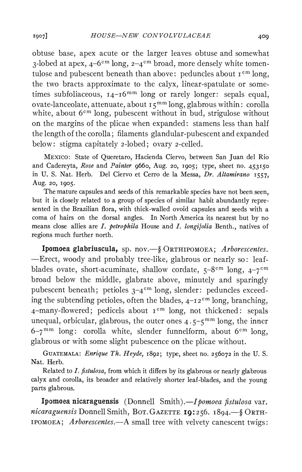 1907] HOUSE-NEW CONVOLVULACEAE 409 obtuse base, apex acute or the larger leaves obtuse and somewhat 3-lobed at apex, 4-61m long, 2-4cm broad, more densely white tomentulose and pubescent beneath than