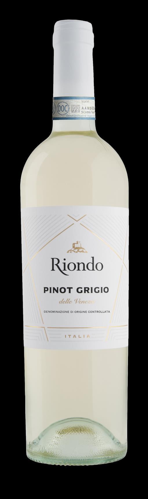 Pinot Grigio White still wine Delle Venezie D.O.C.