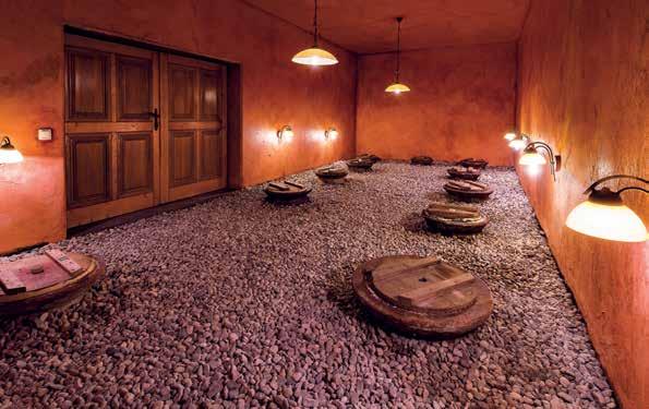 Our modern wine cellar It may sound contradictory, and yet it is not: in our newest wine cellar there are big clay amphorae buried deep in the ground, much like those in which cider and wine were