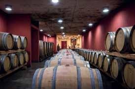 The amphorae vary in size from 360 to 2,500 litres and they complement the selection of wine-making containers intended for prolonged ageing of wines, the basis as to which oak barrels were used for