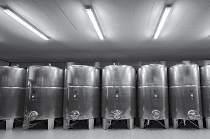 For young wines, getting a sense of timelessness is limited to ageing of wine on lees in stainless steel containers.
