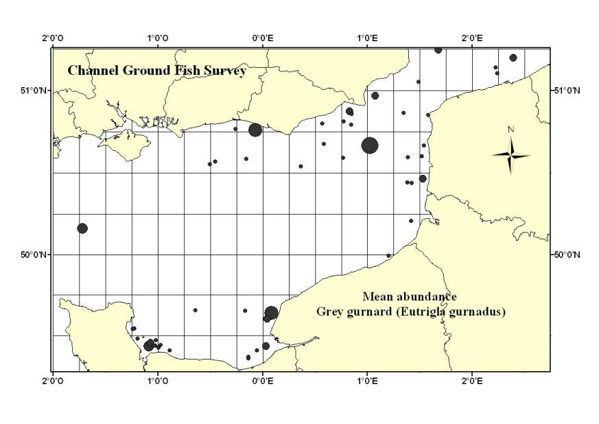 ICES Stock Annex 11 Figure 1.1. Distribution of grey gurnard in the eastern Channel. CGFS survey 8.