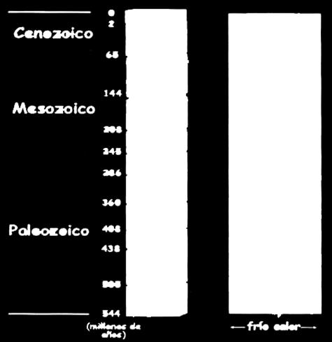 8 4500 million years history PHANEROZOIC CATASTROFE K/F TERCIARIO CUATERNARIO RECENT THERMAL MAXIMUM 55,8 million years ago CATASTROFE P/