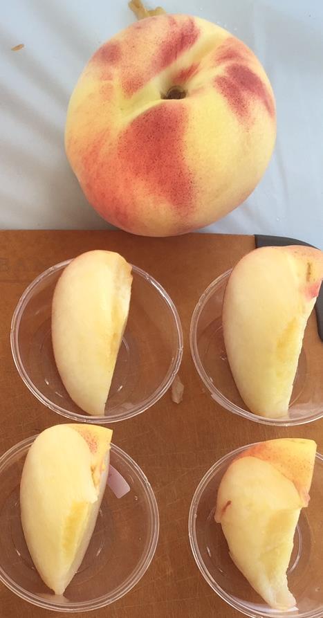 Familiarity with white flesh peaches Familiarity % (313) % (1380) Extremely 7% 19% Moderately 18% 28% Somewhat 21% 24% Slightly 23% 18% Not at all 31% 11% 84%