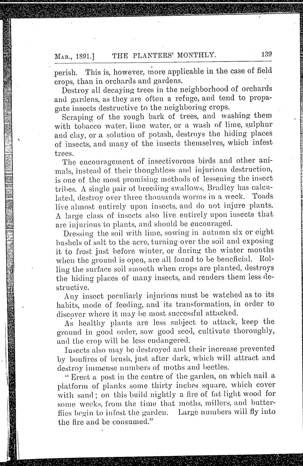 MAR., 1891.] THE PLANTERS' MONTHLY. 139 perish. This is, however, l{lore applicable in the case of field crops, than in orcl1l1,rds and gardens.