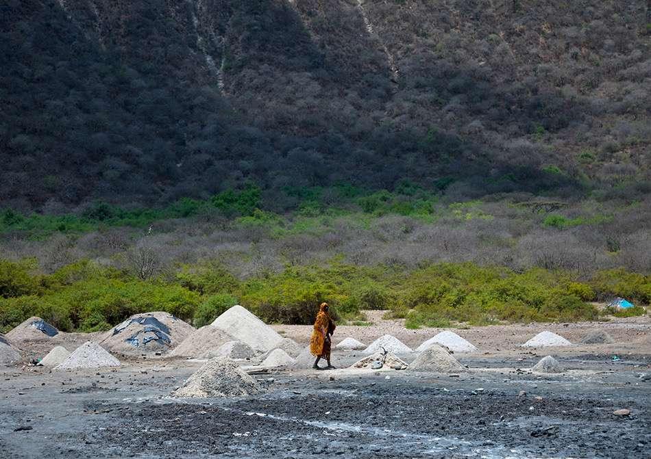 Women do not take part in the salt extraction. Few of them go down in the crater to collect wood and branches for the cattle.