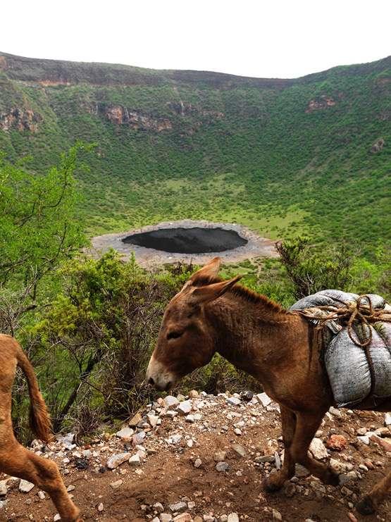 Once the donkeys are loaded with 2x25kg of salt in each bag, they have to climb up to the village on the edge of the volcano.