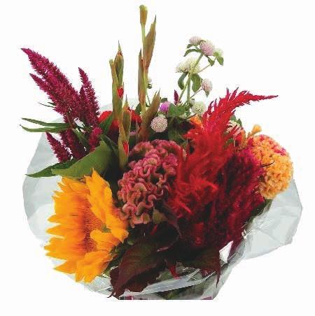 Local Bouquet & Handle Sleeve Pack 6 12+ stems Locally Grown ensure that your