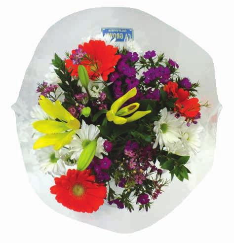 IS INTERNATIONAL AMERICAN GROWN MONTH Flowers and/or sleeves may