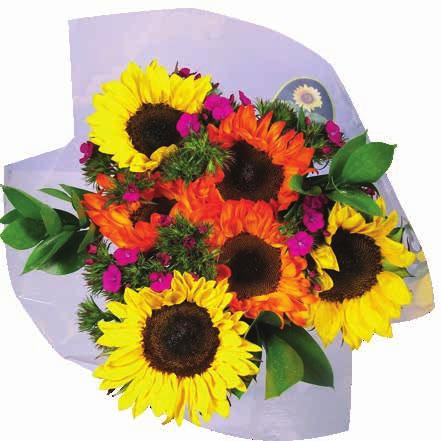 stems 3 Sunflower 2 Larkspur 3 Strawflower 1 Hydrangea 2