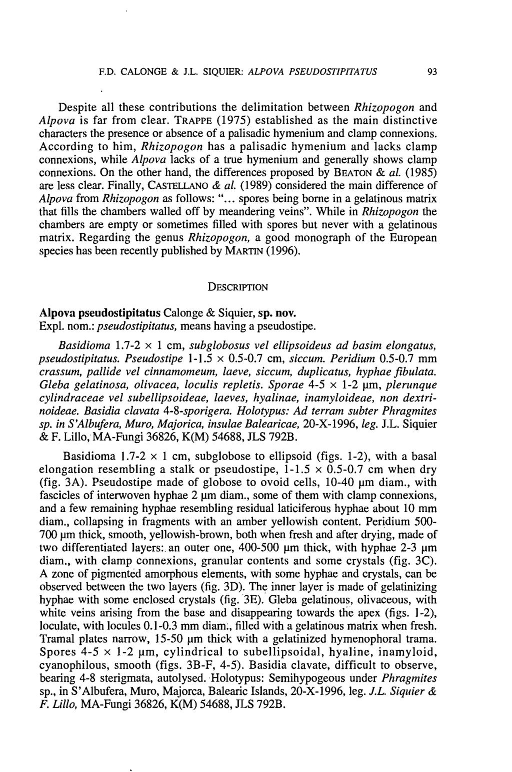 F.D. CALONGE & J.L. SIQUIER: ALPOVA PSEUDOSTIPITATUS 93 Despite all these contributions the delimitation between Rhizopogon and Alpova is far from clear.