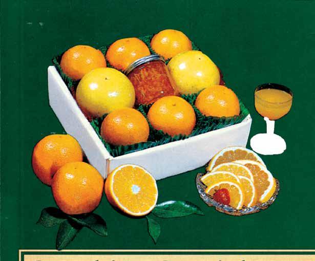 ALL SEASON NOVEMBER THRU APRIL No. SVMOR - Oranges and Grapefruit...$39.