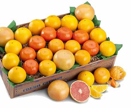 bright Florida Tangelos, Ruby Red Grapefruit and seasonal Tangerines.