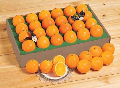 ells honeybells and navels The Perfect Pair Flavorful and fresh Navel Oranges and juicy sweet Honeybells in one brightly colored package. The perfect gift! No. 4HN $88.99 No. 20HN.$64.99 No. 3HN $79.