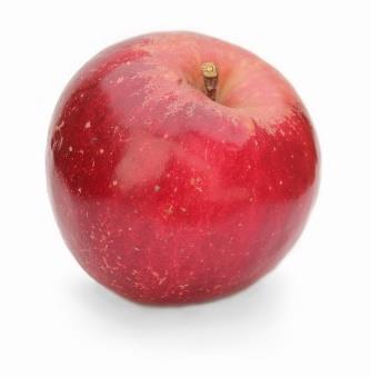 Jonathan Jonathan is one of this country s most important commercial apples grown extensively in the northern regions on the nation, particularly Michigan, Ohio, Washington, and Pennsylvania.