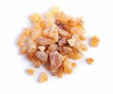 FRANKINCENSE Frankincense is one of the most prized and precious oils. The ancient Egyptians used Frankincense resin for everything from perfume to skincare.