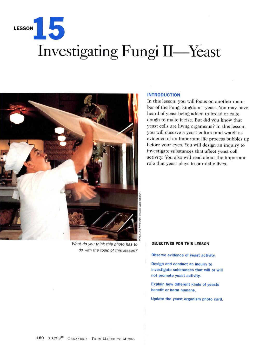 LESSON15 Investigating Fungi II Yeast INTRODUCTION In this lesson, you will focus on another member of the Fungi kingdom yeast.