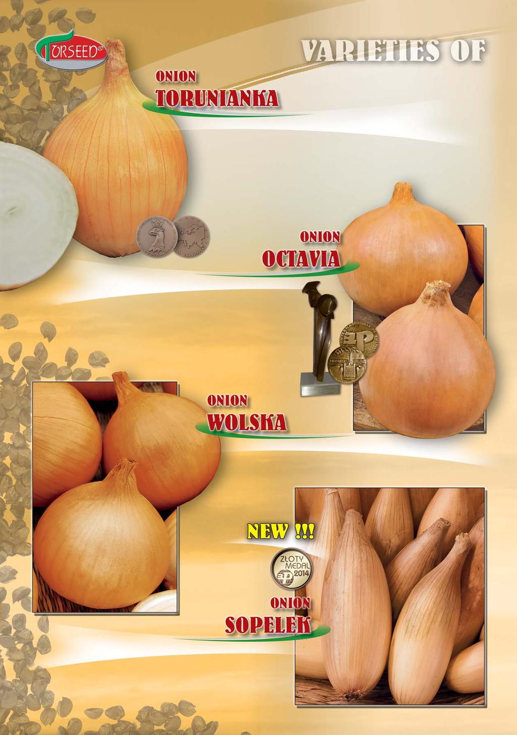 Medium-early variety for spring sowing cultivation. Yellow-brown scale, resistant to cracking. Average weight of onions: 150 g. Characteristic white-cream pulp.