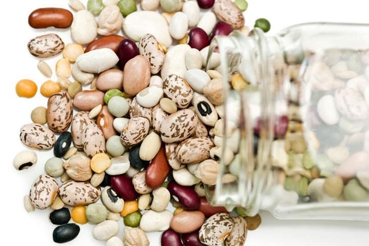HEALTH BENEFITS OF PLANT-BASED PROTEINS AND LEGUMES Essential for Growth and Maintenance Builds Bones Helps