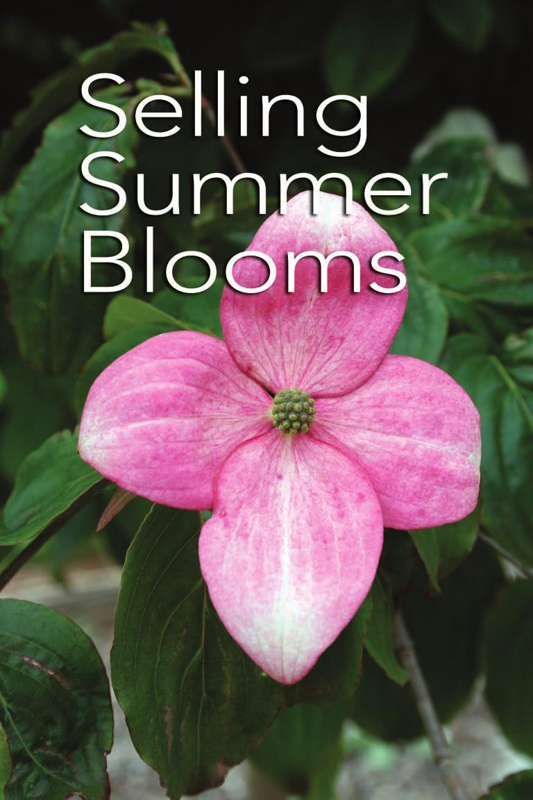 Extend your selling season with summer flowering trees. By Nancy Buley Selling the beauty of flowering trees is a time-honored spring tradition.