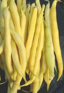 1 Packet = 80 Bulk seed available. A prolific and tasty bush bean that produces lots of tender, tasty, stringless, yellow, 13-15cm pods with black beans. Fairly hardy.