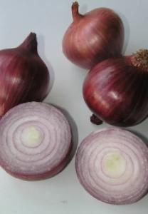 1 Packet = 200 Bulk seed available. These large, dark-red skinned, globe-shaped onions are an excellent, good-yielding, winter crop, best suited to cooler climates. Stores for 5 months.